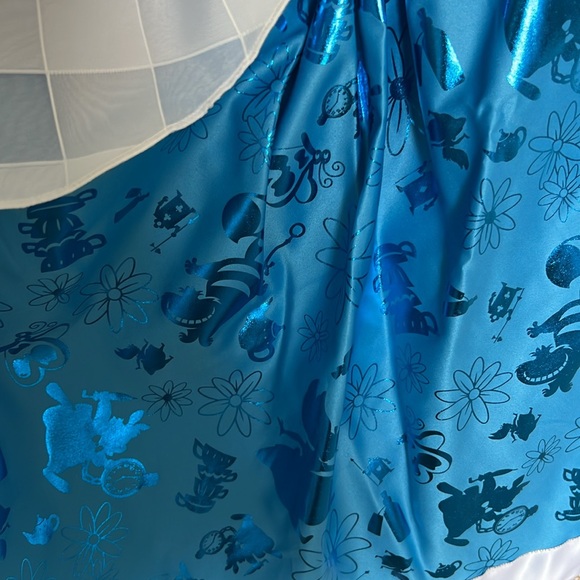 NWT Alice in Wonderland Costume - Picture 5 of 6